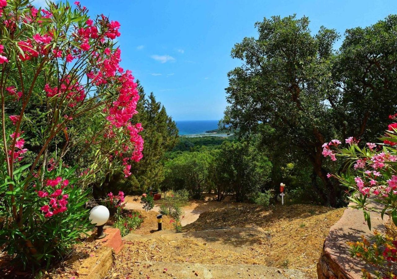 En Ou Mobil-home Chez Camp'in Pirellu * Porto-Vecchio (Corsica)